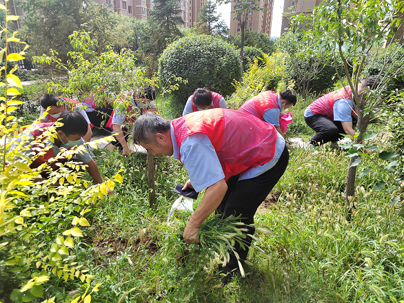 微信圖片_20220823094926.png 微信圖片_20220823094926.png